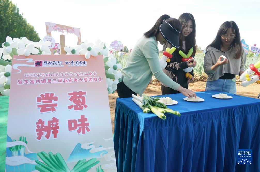大奖网官网登录